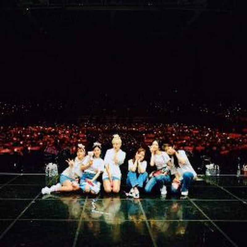 Apink and Panda