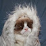 PFJJTCi4MYg-channel-avatar-NAIL ZARIPOV