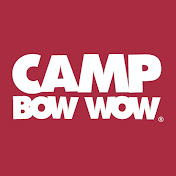 Camp Bow Wow Katy