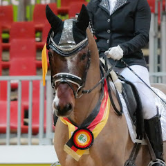 SUPERPONYde