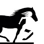 Physio Equine Solutions logo