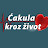 CakulaKrozZivot1