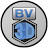 BV3D: Bryan Vines