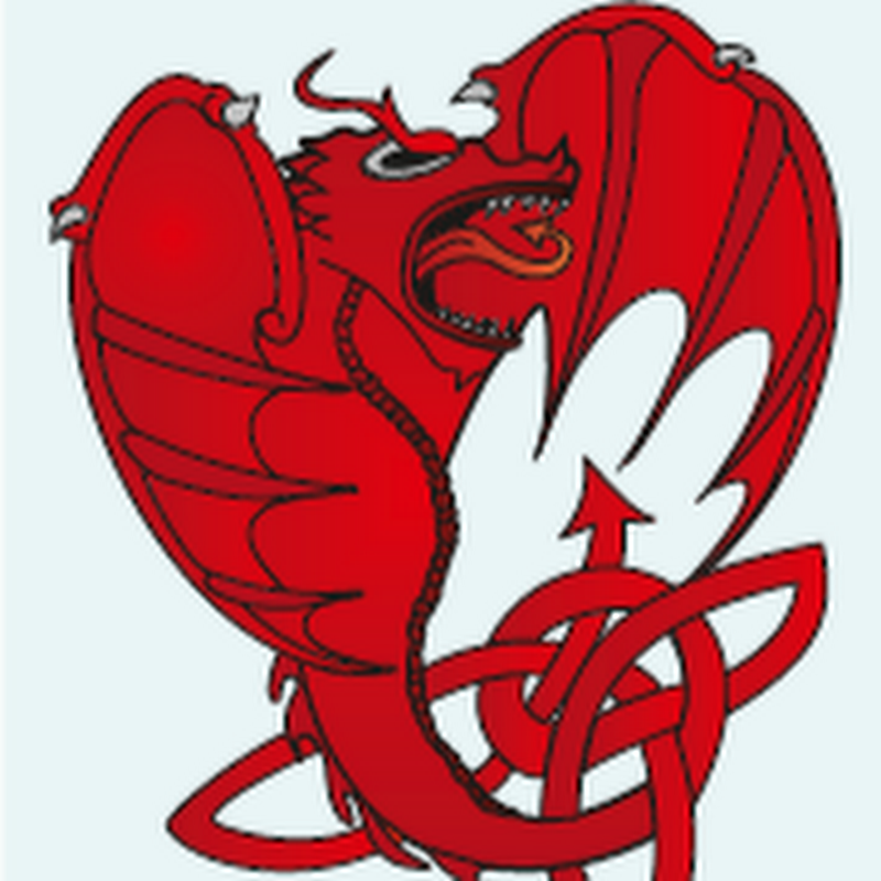 Red Dragon Ventures