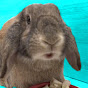 Кролик Эльза channel logo