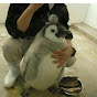 CanadianPenguinGaming