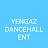 @yengazdancehallent8826