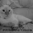 fUXbmMZ7JVk-channel-avatar-Shiro Productions