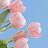 @user-fq8qq1qq5z