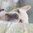 @환타환-y5x