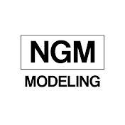 NGM Modeling