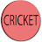 enjoy cricket