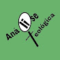Análise Teológica Image Thumbnail