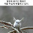 @birds-foot_ja-jeon-geo