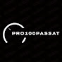 Про100Passat2.5 logo