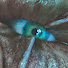 hI9GyhX7yHM-channel-avatar-John Nemesis