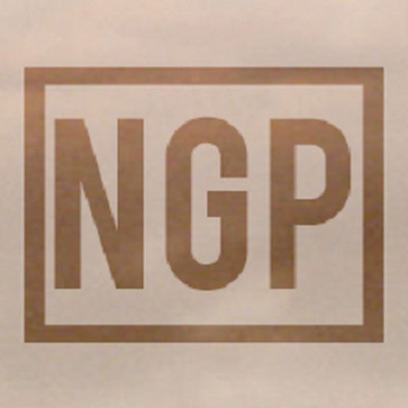NGParadox icon