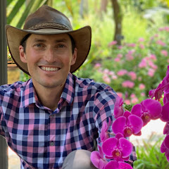 Jack Barnwell Design net worth