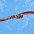 myPWWEkaono-channel-avatar-Timwies96