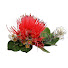qqu-Bubcor4-channel-avatar-Merrie Monarch Festival