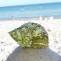 ksCCVJUBQuk-channel-avatar-BEACH LIFE78