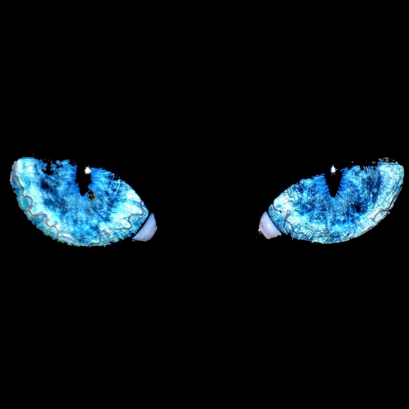gNatFreak icon