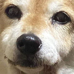 びば