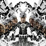 S_2iXasmHWY-channel-avatar-sqweapy