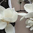 @user-gy9ci4sp7z