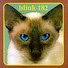 EGa41ZZXrNE-channel-avatar-SUUUUM41