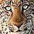 @marydoo7311's avatar