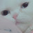 @dongyeolcho6731