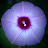 @S3ndMast3r