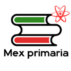 Mex primaria net worth