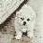 @홍성현-h5d