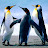 @user-yx7hd9my8f