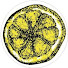 y7bx8s96yLk-channel-avatar-James Daniels
