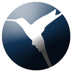 Skydive Colibri
