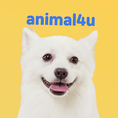 KBS동물티비 : 애니멀포유 animal4u channel logo