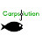 Carpsolution