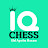 Школа Шахмат IQ Chess. Гроссмейстер Артем Ильин