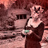 2HZPvg671R0-channel-avatar-Phil Barrington