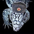 fBYLGRxf5Ho-channel-avatar-Silevn Lizard