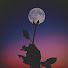 rDmNBgBByG0-channel-avatar-fleur de lune