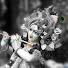 5AdRmhSmyhw-channel-avatar-ISKCON Chowpatty Hindi इस्कॉन चौपाटी हिंदी (श्री श्री राधा गोपीनाथ मंदिर)