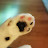 @pussypuss100 Avatar