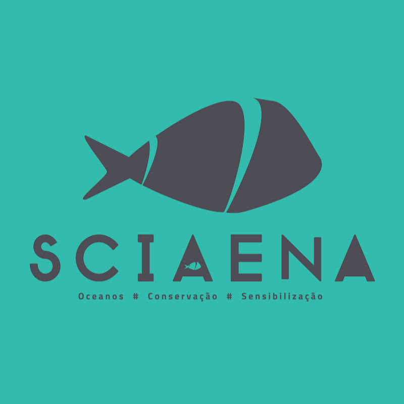 Sciaena NGO
