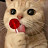 @asdfasdf7844