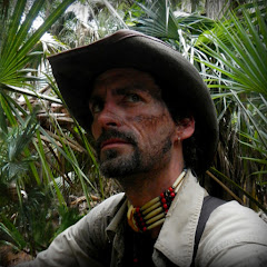 Jungle Jay Adventures