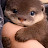 @goldenotter6069